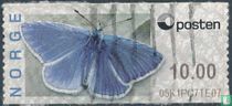 Papillons  