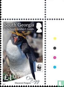 WWF Penguins