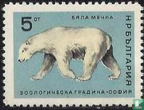 Sofia Zoo