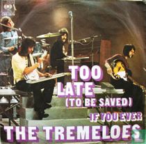 Too Late (to Be Saved)