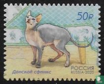 Don Sphynx