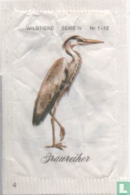 Graureiher