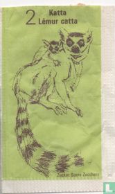 Katta - Lemur Catta