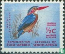 Kingfisher