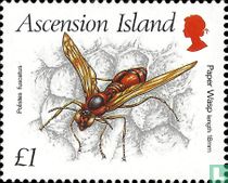 Insects