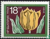 Fleurs de jardins