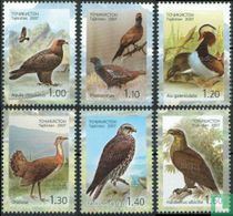 Birds 