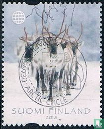 Deer