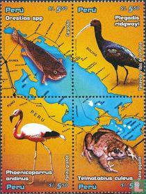 Faune du lac Titicaca