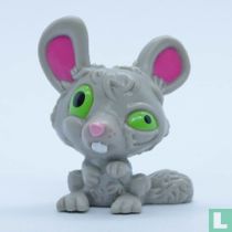 Chinchilla au fromage (gris)