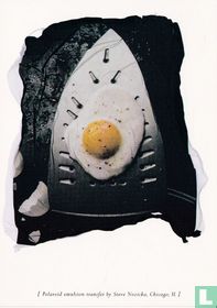 Polaroid - Steve Nozicka