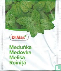 Medunka