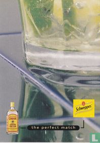 02646 - Gordon's Gin & Schweppes Tonic