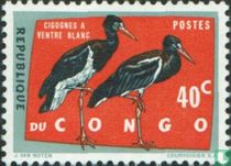 Geschützte Vögel kaufen