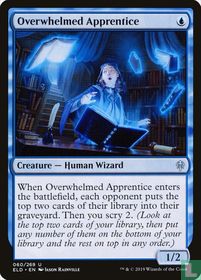 Overwhelmed Apprentice