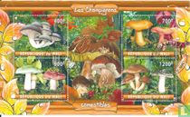 Champignons