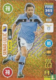 Senad Lulic