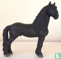 Friesian stallion
