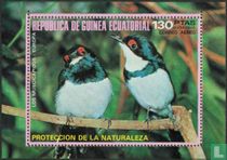 Oiseaux d'Europe 
