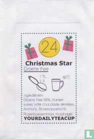24 Christmas Star