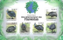 Oiseaux 