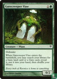 Gatecreeper Vine