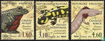 Amphibiens