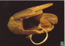 Gold dress-fastener found in a wooden box. From Killymoon, Co Tyrone