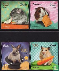 Rodents