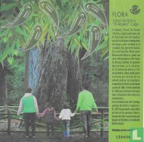 L'arbre grand-père