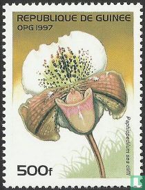 Blume