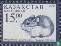 Hamster