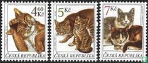 Chats
