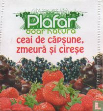 Plafar tea bags catalogue