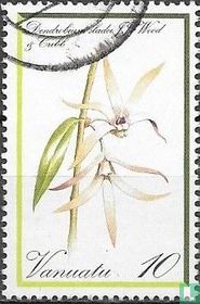 Orchids