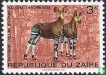 Virunga nationaal park
