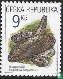 Mussel