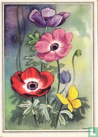 Anemonen