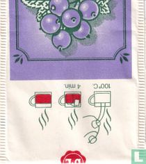 Blackcurrant-Zwarte Bessen 