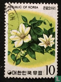 Fleurs