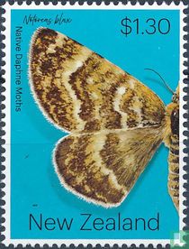 moths