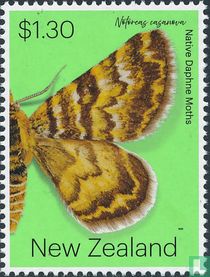 moths 