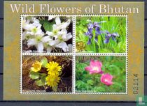 Wild Flowers 