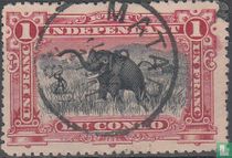Elephant hunting