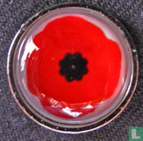 Klaproos (Remembrance poppy)