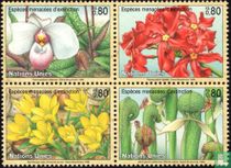 Endangered plants