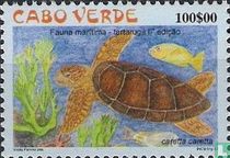 Onechte karetschildpad