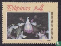 orchids