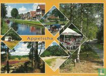 Appelscha