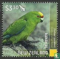 Parakeets  